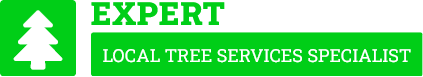 North Shore Tree Removal - Tree Removal North Shore